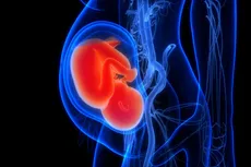 Женатая пара «не знала, как забеременеть»