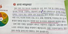 Дебаты вокруг учебника по половому воспитанию для младших классов в Южной Корее, который подчеркивает гендерное разнообразие, усиливаются